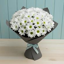 Букет цветов из:  Хризантемы в Ленино