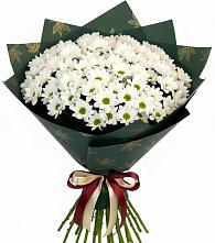 Букет цветов из:  Хризантемы в Ленино