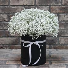 Цветочная композиция из Гипсофила в шляпной коробке #REPLACE_PRED# Ленино