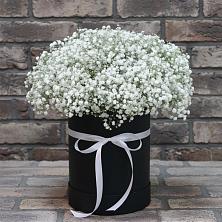 Цветочная композиция из Гипсофила в шляпной коробке в Ленино