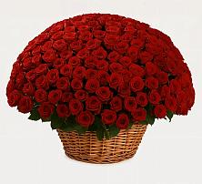 Премиум букет из: Розы в Ленино