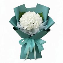 Букет цветов из:  Гортензия в Ленино